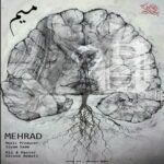 دانلود آهنگ مهراد میم